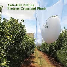 Anti Bird Netting For Garden Agfabric Anti Hail Netting Bird Netting Alternative Protect Fruits And Plants From Hail Damage Car Protection 19 Garden Netting Bird Netting Fruit Plants