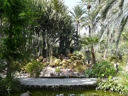 We did not find results for: Interno Bild Von Elche Costa Blanca Tripadvisor