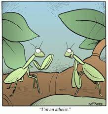 Maybe you would like to learn more about one of these? When Atheists Pray The Religious Studies Project