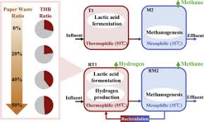 Where to watch 365 days. Temperature Phased Anaerobic Co Digestion Of Food Waste And Paper Waste With And Without Recirculation Biogas Production And Microbial Structure Sciencedirect