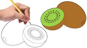 How To Draw A Kiwi Fruit Zeichnen Von Kiwis Youtube And i'm too lazy to check the date when i drew it :sweat_smile: