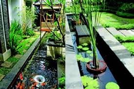 Ingat, faktor penting supaya tanaman air tetap sehat adalah filter kolam ikan. 3 Tanaman Air Populer Untuk Kolam Ikan Berfungsi Terapis Dan Ekologis Semua Halaman Idea