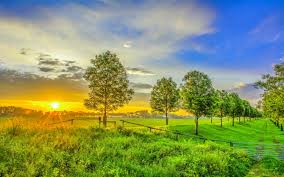 nature sunrise field green grass trees sky hd wallpaper wallpapers13 com nature sunrise field green grass trees