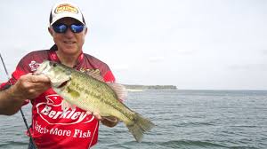 The best fishing for largemouth bass, crappie, and bream occurs in creeks and shallow water sloughs. Time To Grind It Out For August Bass Carolina Sportsman