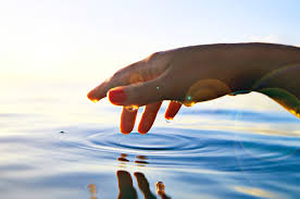 From old occitan cuidar, from latin cogitāre, present active infinitive of cōgitō. Descubre Por Que Es Importante Cuidar El Agua En Casa Y Fuera De Ella