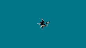 A virtual museum of sports logos, uniforms and historical items. Herunterladen 1920x1080 Full Hd Hintergrundbilder Eishockey San Jose Sharks Logo 1080p