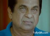 Best Brahmi GIFs | Gfycat