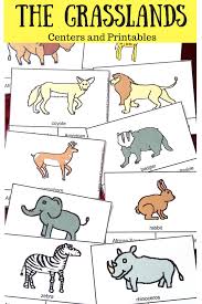 Find Fun And Engaging Activities For Your Students While You Learn About The Grasslands Project Instructions Included Activities Habitats Science Activities
