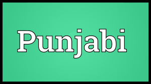 Las luces parpadearon unas cuantas veces durante la tormenta, pero nunca se fue la electricidad. Wink Meaning In Punjabi Wink Meaning In Gujarati