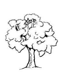Parents may receive compensation when you click through and purchase from links contained on this website. Tree Coloring Pages Pdf Ideas For Children Coloringfolder Com Tree Coloring Page Oak Tree Drawings Coloring Pages
