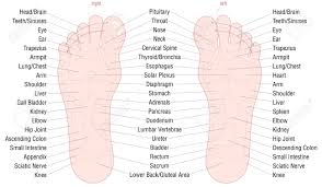 The problem may be your posture!this is a common condition known. Foot Reflexology Zone Massage Chart With Areas And Names Of The Royalty Free Cliparts Vectors And Stock Illustration Image 93543778