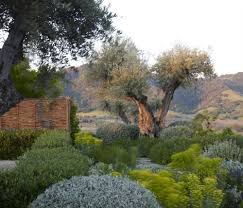 Alexander S Crown Landscape Design Modern Landscaping Low Maintenance Garden