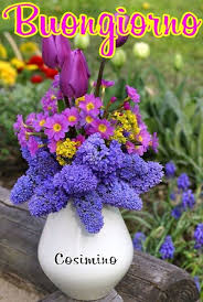 Un caffè per chi si alza sempre di buon mattino! Buongiorno Fiori Colorati Fiori Fiori Annuali