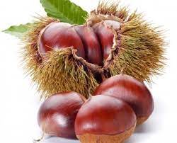 Raccolte di maria incoronata russo. Castagne O Marroni Centro Agroalimentare Roma