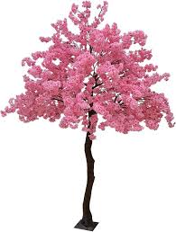 Spotting these pretty pink flowers signals the start of spring, but have you ever wondered about their history? Buy Yatai Artificial Pink Flowers Cherry Tree 4 Meters Online Shop Home Garden On Carrefour Uae