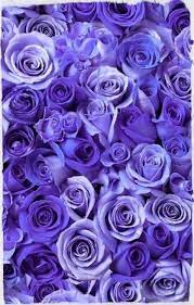 We did not find results for: 51 Trendy Flowers Purple Wallpaper Inspiration Purple Flowers Wallpaper Purple Flowers Garden Purple Flowers
