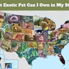 We took our family to the wilds to see all of the different animals we may never get to see anywhere else! This Exotic Pet Is Legal In Your State Pethelpful