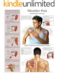 Shoulder tendonitis leads to shoulder joint problems. Shoulder Pain E Chart Quick Reference Guide Kindle Edition By Hc Healthcomm Health Fitness Dieting Kindle Ebooks Amazon Com
