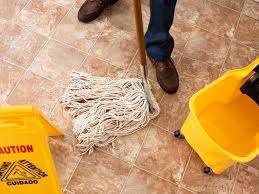 It's more fun than it sounds! The History Of Janitor Merriam Webster