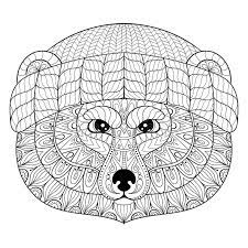 Adult coloring pages of animals. Vector Bear Face In Zentangle Doodle Style Hand Drawn Wild Animal Face Illustration For Adult Coloring Pages Art Therapy Mono Stock Vector Illustration Of Drawing Mouth 81205449