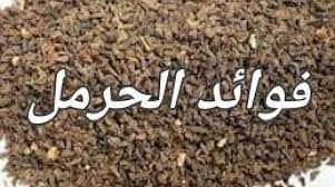 فإن التبخر بهذه الأشياء لا نعلم في الشرع ولا في الطب شيئا يدل على العلاج به، وقد جاء ذكر الحرمل في بعض الأحاديث الموضوعة، فقد ورد داء، فتبخروا بالكندر فإنها بخور كل شيء، وما. Ù…Ø¹Ù„ÙˆÙ…Ø§Øª Ø¹Ù† Ø¨Ø®ÙˆØ± Ø§Ù„Ø­Ø±Ù…Ù„ ÙˆØ¹Ù„Ø§Ø¬Ù‡ Ù„Ù„Ø¥Ù…Ø±Ø§Ø¶ Ø§Ù„Ù†ÙØ³ÙŠØ© ÙˆØ§Ù„Ø¹Ø¶ÙˆÙŠØ© Ø§Ù„ÙˆÙØ¯