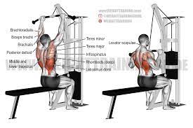 During lat pull down machine workouts, you will notice that the muscles in your biceps and middle back get quite some attention. Medium Grip Lat Pull Down Exercise Instructions And Video Weight Training Guide