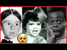 The Little Rascals' dog Petey Poisoned, what happened