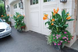 Cannas aren't just for gardens.growing cannas in containers is a good way to guarantee summer blooms. Orange Punch Deborah Silver Co