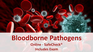 This program will outline bloodborne pathogens topics. Safecheck Bloodborne Pathogens Safecheck Learning