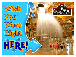 Williamsburg Virginia Local Attractions Great Wolf Lodge In Historic Williamsburg Great Wolf Lodge Local Attractions Virginia Water Park