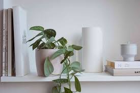 They pick mushrooms andberries in the forest, swim in the rivers and lakes, go fishing andboating. Winter Care Of Houseplants