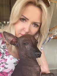 Gruffalina's Hairless Dogs