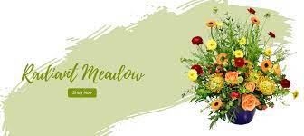 We did not find results for: 1 Florist In Melbourne Fl Flowers For Sale Designs Of The Times