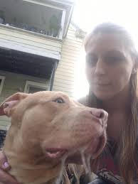 Lost and found pets of WNY