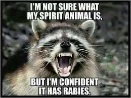 I M Not Sure What My Spirit Animal Is But I M Confident It Has Rabies What S My Spirit Animal Funny Funny Animal Pictures