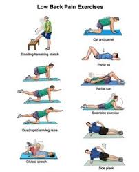 Maybe you would like to learn more about one of these? Gym Ball Exercises For Back Pain