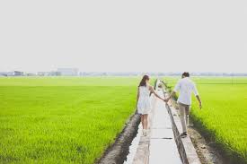 Wedding Photography Sekinchan Malaysia Padi Fields Summer Engagement Photos Wedding Photographer Packages Field Wedding