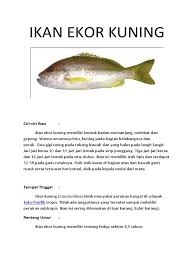 Sisik ikan dalam skala industri (diperoleh dari industri fillet ikan) dapat dimanfaatkan sebagai sumber kolagen, sedangkan dalam skala rumah tangga biasanya hanya dibuang. Ikan Ekor Kuning