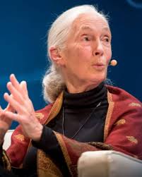 Dr. Jane Goodall