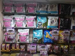 Check poison symptoms, diagnosis & treatments. Pet Care Veterinary Poly Clinic Pet Clinic Best Pet Shop In Gwalior Indiasthan Com