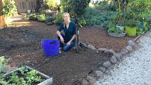 Check spelling or type a new query. Video How To Amend Soil Sunset Magazine