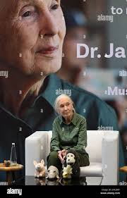 India jane hi-res stock photography and images