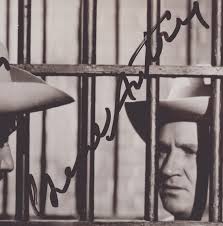 The Blazing Sun Movie Cast