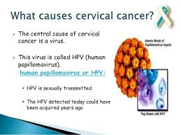 The human papilloma virus (hpv) is a major cause of the main types of cervical cancer. Cervical Cancer