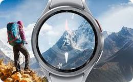 Galaxy Watch Compass app user guide | Samsung LEVANT
