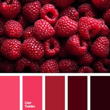 We did not find results for: Crimson And Burgundy Color Palette Ideas