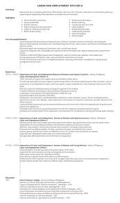 Example of resume to apply job in philippines. Resume Samples For Government Job Application In The Philippines