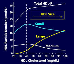 Part 4 Cholesterol Isnt Cholesterol Cholesterol