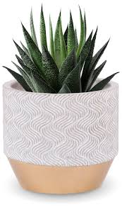 Cheap indoor plant pots canada. Inspirella Timeless Modern Indoor Flower Pot 4 9 Stunningly Detailed Colorful Hand Glazed Cement Plant Pots For Indoor Outdoor Planting Leak Proof Planter For Succulents And Flowers Buy Online In Canada At