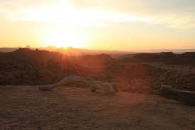 1,926 namibian desert premium high res photos. Namib Desert Reef And Rainforest Tours